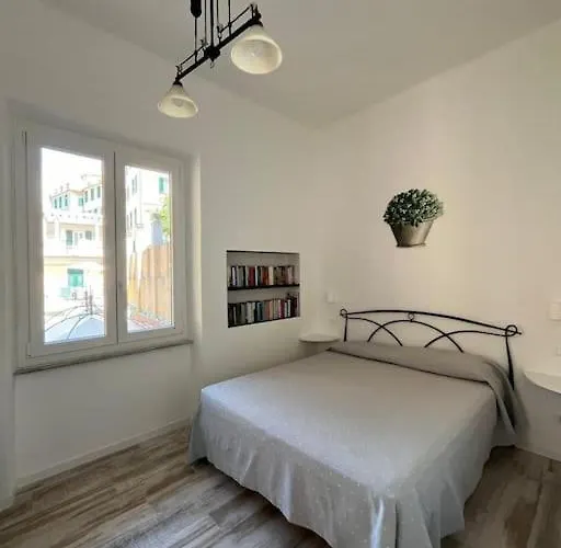 Almar Esclusivo E * 卡莫利